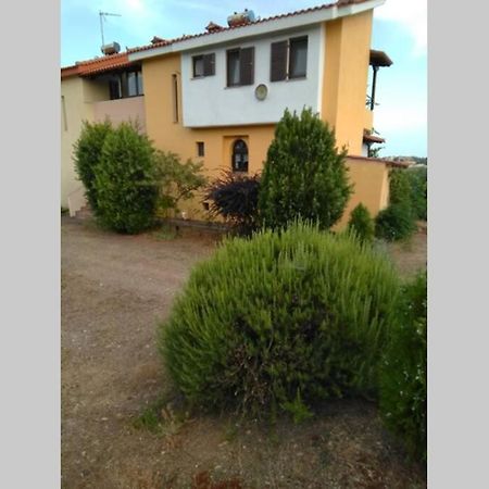"Klio" Appartment Nikiti  Dış mekan fotoğraf
