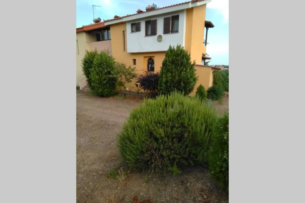 "Klio" Appartment Nikiti  Dış mekan fotoğraf