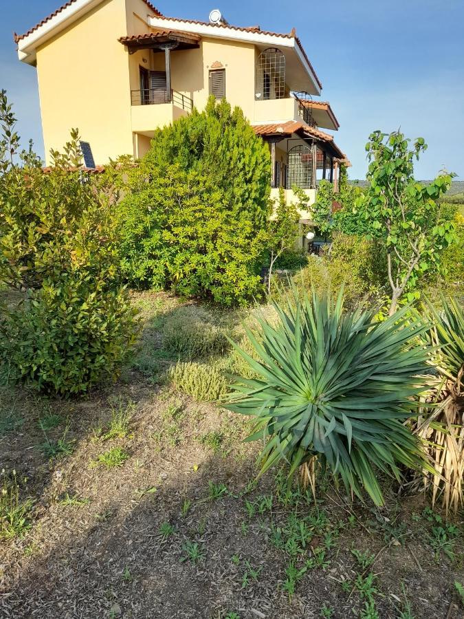"Klio" Appartment Nikiti  Dış mekan fotoğraf